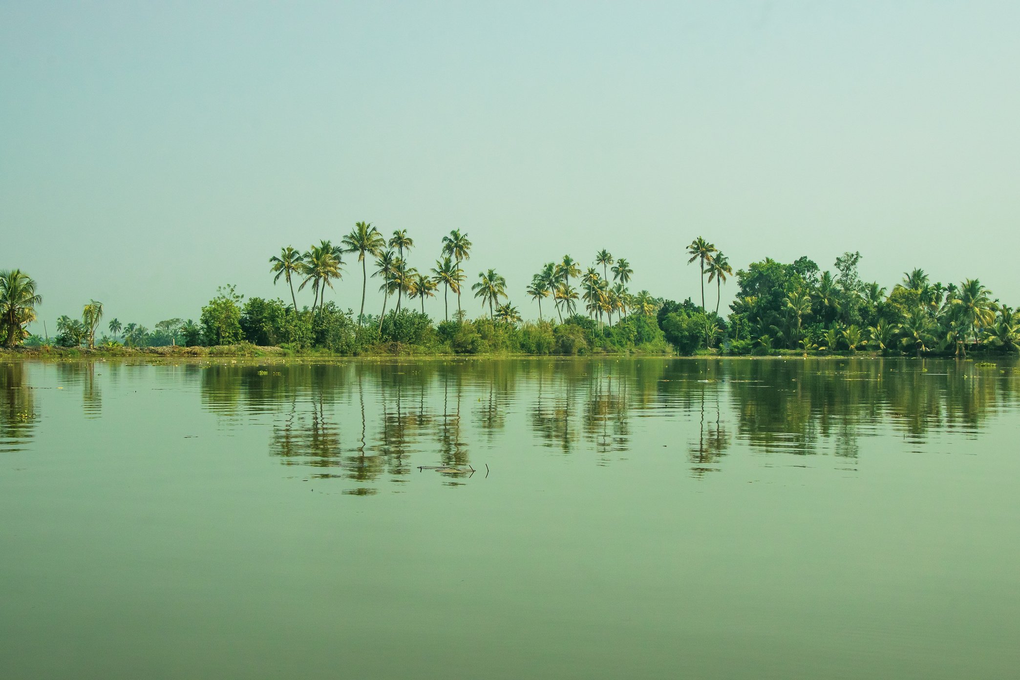 Kerala Backwaters with Palm Trees Landscape